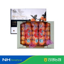 [진영농협] 단감 5kg 2S (35내)
