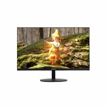 w 비트엠 SMACO M257F ZERO HDR 무결점 /25형 LED