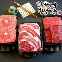 [한성가횡성한우]횡성한우 1++등급 혼합세트 17호 1.1kg, 단품