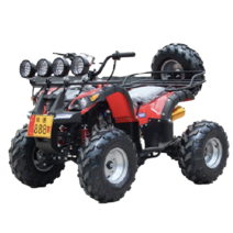 125cc 4륜오토바이 ATV 오프로드 전기 사발이 버기카 농촌 사륜, 리틀 불 패키지 2