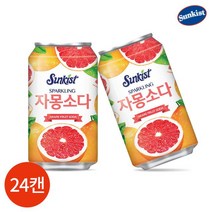 브랜드없음 해태 썬키스트 자몽소다 355ml x 24캔, 단품없음