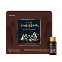 천호엔케어 녹용 품은 산삼배양근 10병세트 벌떡 일어나는 최고급 보양제