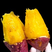 꿀당 산지직송 꿀 고구마, 10kg 한입, 1개