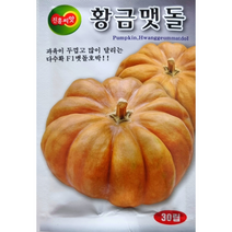 황금맷돌 호박씨앗30립 진흥종묘 과육이 두껍고 골이 깊게있어 가공용 품종으로 최적인 다수확 교배종 맷돌호박