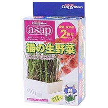 캐티맨 쑥쑥 잘 자라는 캣그라스 제배 키트, 2개입