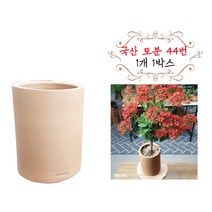 금란의 정원 국산토분 44번 1개