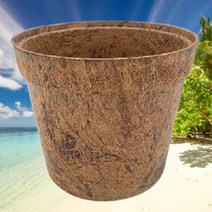 친환경 생분해 화분 코코넛 저변관수 다공성 가벼운 숨쉬는 화분, 14cm x 11.5cm x 10cm (10개입)