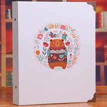 지폐 동전 수집 앨범 주화 대용량 취미 키덜트 240장 가능, 지폐수납 40장 + 동전수납 5장, B