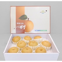 명품 나주배 햇배 특품 7.5kg 7-10과 명절 설 추석 과일선물, 상세페이지 참조