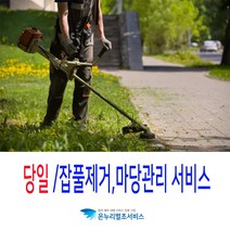 성묘잡초제거서산벌초 아파트제초 진천벌초대행 청주묘지관리 대구벌초 사천벌초대행 양산벌초대행 산소예초 산소제초 묘지관리비 울진벌초대행 묘지잡초제거경주벌초 상주벌초