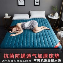 효리네 민박 토퍼 이효리 허리에 좋은 매트리스 195640남극 다다미 매트리스 실내 장식 두꺼운 학생 기숙사 1 인 렌탈 룸 특별 매트 이불 가게 매트리스