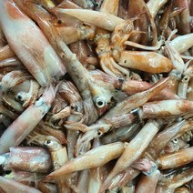 국내산 급냉 한입 한치 1kg 통찜용 총알한치