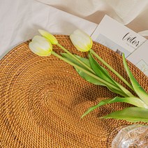 인도네시아 라탄 더 촘촘 매트 타원 40x30cm