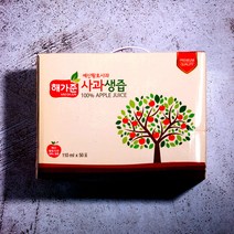 아침에사과즙한잔 충남 예산사과 저온착즙 사과생즙 110ml 선택형, 1개
