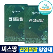 차승원 관절건강 씨스팡 관절팔팔 초록입홍합오일 캡슐 식약처 인증 친환경 그린 푸른 녹색 초록 초롱 잎 입 홍합 초롱이 시스팡 씨스팜 관절 무릎 연골 88 홈쇼핑 방송 광고, 4개, 56캡슐