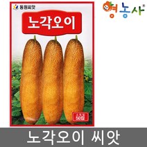 노각오이 씨앗 50립, 단품