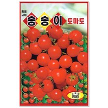 송송이 방울토마토 50립