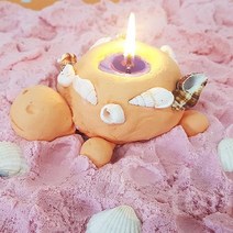 소이캔들만들기세트 5인세트 여름 조개 캔들 만들기 양초만들기 향초 캔들DIY 키트 향초만들기 캔들만들기재료 소이캔들재료 캔들만들기세트 향초캔들 티라이트캔들