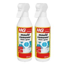 HG 욕실 화장실 곰팡이제거제 1+1 베란다 실리콘 벽 곰팡이제거, 1개, 500ml
