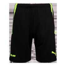 푸마 도르트문트 트레이닝 쇼츠 75914305