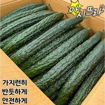 오이 가시오이 청오이 못난이오이 10kg 약40개입, 오이 상 5kg(약20개), 20개