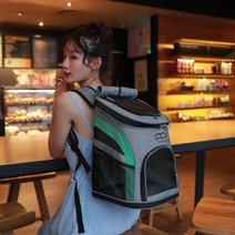패밀리펫 강아지 고양이 백팩 가방, 연두