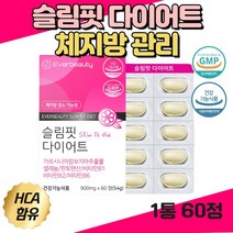 에버뷰티 가르시니아다이어트PTP60정