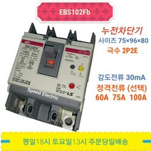 LS산전 EBE102Fb 2P 60A 30mA 누전차단기 5kA ELCB ELB