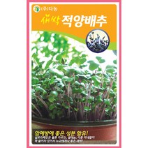 새싹적양배추씨앗 1kg, 없음