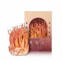 동충하초 국내산 배양특허 코디세핀 베타글루칸함유 버섯 귀리먹은 귀동초 생초 170g내외(옵션추가할인), 생초(4개)