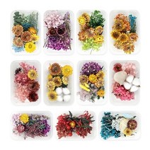 기타 [꾸미기 재료] 프리저브드 플라워 혼합 대 (11종 택1), 1. 핑크