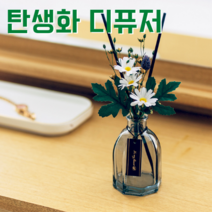 탄생화 디퓨저 선물세트 3월 탄생화 데이지 남자친구 여자친구 남사친 여사친 언니 선생님 직장동료 생일선물 집들이선물 실내 디퓨저 실내방향제 디퓨저, 튤립, 300ml