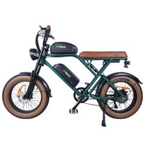Eflash eBike 유압 브레이크 전기 자전거 듀얼 배터리 성인용 초장거리 라이딩 마일리지 산악 25Ah 350W, 03 15Ah 350W Hydraulic, 한개옵션1