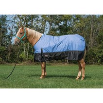 Weaver Leather Economy Turnout 말 담요 방수 립스톱 폴리에스터 섬유 충전재 600D 블루 182.9cm72인치 USA 미국, Blue, Blue