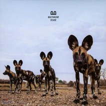 [CD] Balthazar (발타자르) - Fever