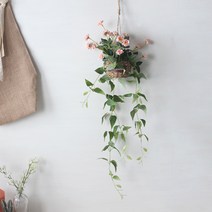 티로즈 넝쿨 화분-행잉(6color), 화이트