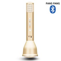 팡팡노래방 블루투스 무선 마이크 노래방반주기, 일반형