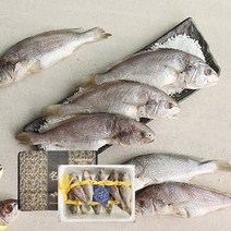 맛꾼푸드 [선물세트] 손질 민어굴비 10마리(마리당 200~250g), 기타