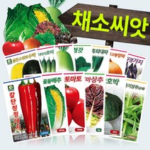 다농 채소 씨앗모음전 - 열매채소 뿌리채소 잎채소 쌈채소 고추 토마토 배추 무 상추 갓 파 부추 호박 가지 딸기 오이 멜론 여주 수세미 박 씨앗 종자, AE07=용진청장오이씨앗50립!