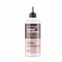 글로스브로 오토클린스 페인트클렌저 300ml, 1개