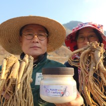 지리산 6년 장수 약도라지 도라지가루 (150g), 1개, 150g