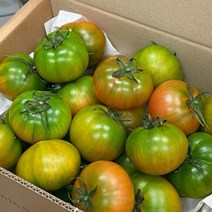 부산 대저 짭짤이토마토 2.5kg 로얄과 중과 대과 짭짤한토마토 고당도 짭짜리 대저토마토, 로얄과 2.5kg