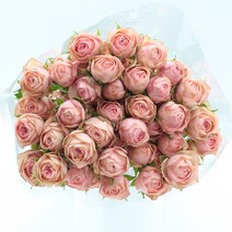 자나 장미 (강남 고속터미널꽃시장 도매시장에서 발송하는 생화택배) 꽃정기구독가능, 비슷한 느낌의 꽃으로 변경(다른꽃or다른색), 금~일요일 구매시 (화요일 도착)