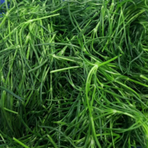 알뜰농장 해풍 세발나물 최상품 2~4kg 내외, 1개, 세발나물 2kg