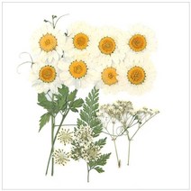 [바보사랑] 압화종합팩(K105), 상세 설명 참조