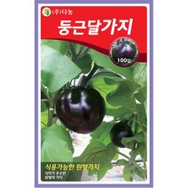 뱀 딸기 씨앗 1000립 - 뱀딸기 딸기키우기 야채씨앗 채소씨앗 채소재배 종묘 종자 베란다 텃밭 씨 씨앗 오이 호박 방울토마토 수박 참, 03_다농_둥근달 가지(100립)