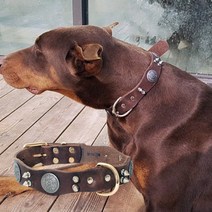 대형견 목줄 천연가죽 목태 XL사이즈, 상세페이지 참조