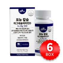 포뉴 칼슘 마그네슘비타민D 950mg x 120정 x 6박스