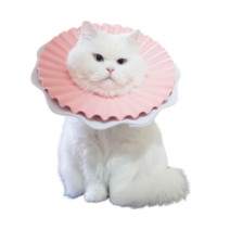 넥카라7호 고양이 중성화 넥카라 강아지 쿠션 깔대기 애견 플라스틱 천 반려견, 핑크