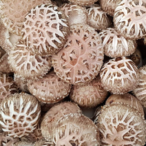 송이향버섯마을 선물용 생표고버섯 1kg, 1개